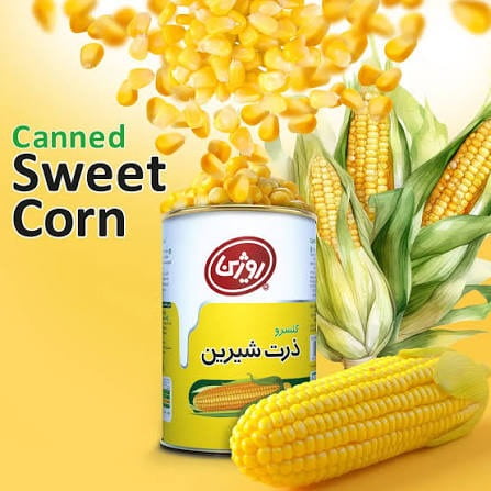 تصویر 2 از کنسرو ذرت روژین انتخابی خوش طعم برای آشپزی حرفه ای